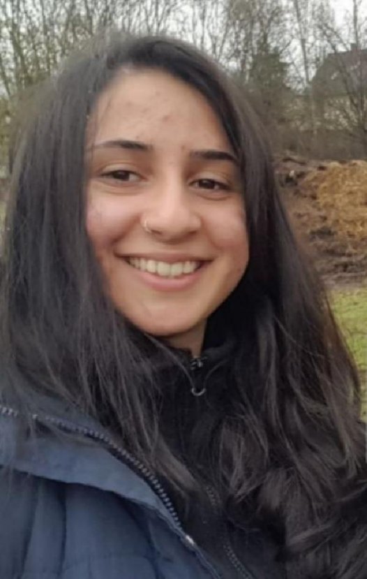 Almanya'da yaşayan anne, PKK'nın kaçırdığı kızını arıyor