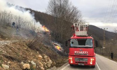 Karadeniz’de 55 yangından 38’i söndürüldü