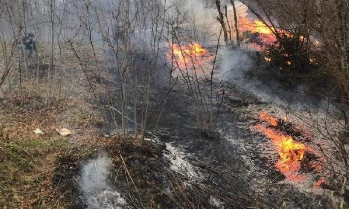 Karadeniz’de çıkan yangınları PKK sahiplendi