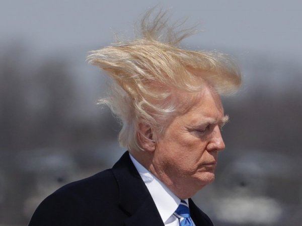 Trump'ın derdi: Rüzgar