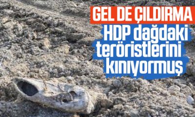 HDP Diyabakır’daki PKK saldırısını kınadı